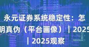 永元证券系统稳定性：怎么证明真伪（平台画像）｜2025观察