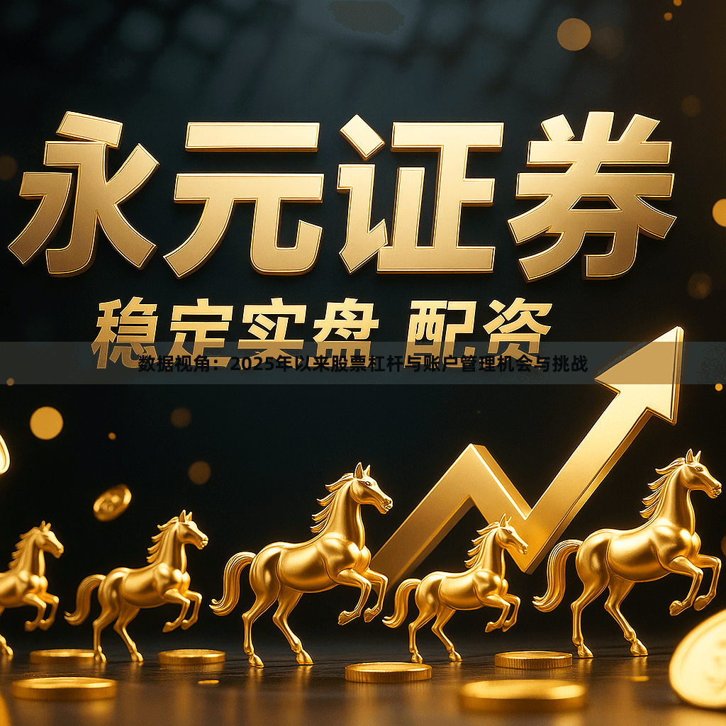 数据视角：2025年以来股票杠杆与账户管理机会与挑战